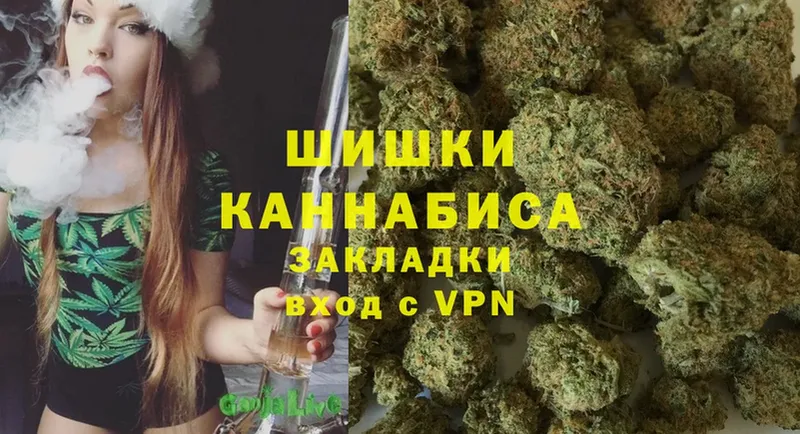 Канабис OG Kush  Аркадак 